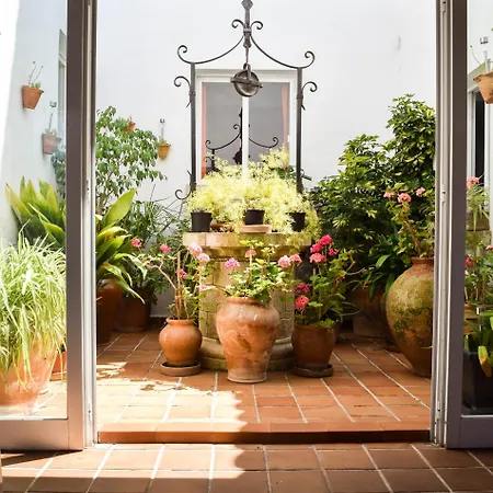 Allexia- Sol - Apartamento Port de Pollença